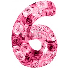 Шар цифра 6 «Симфония роз» 86 см.